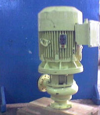 Pumps Pumps